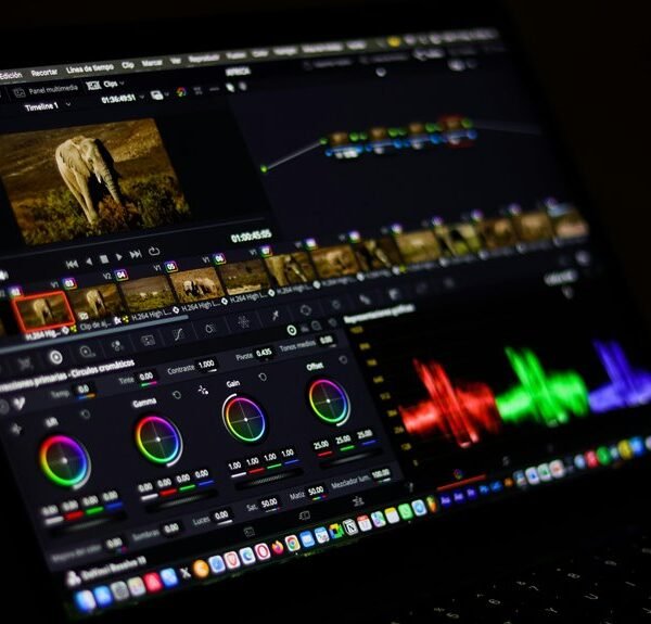 creative digital suite hub code