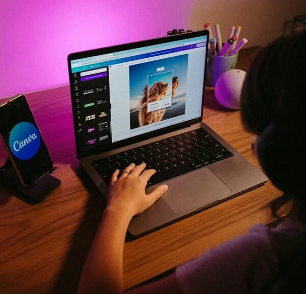 creative online hub web network